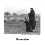 November Kalender 2013